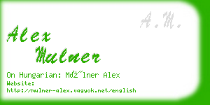 alex mulner business card